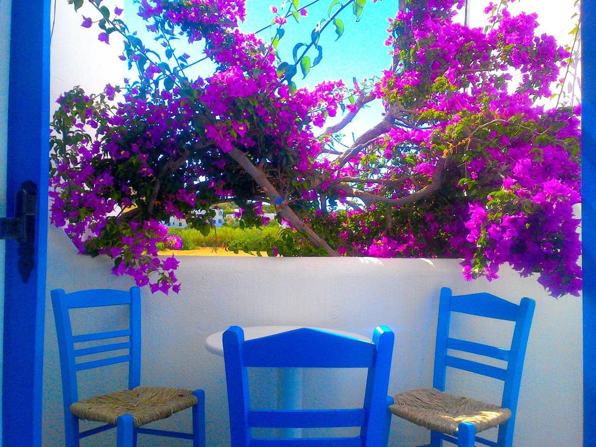Hotel apartamentowy Pelagos Páros