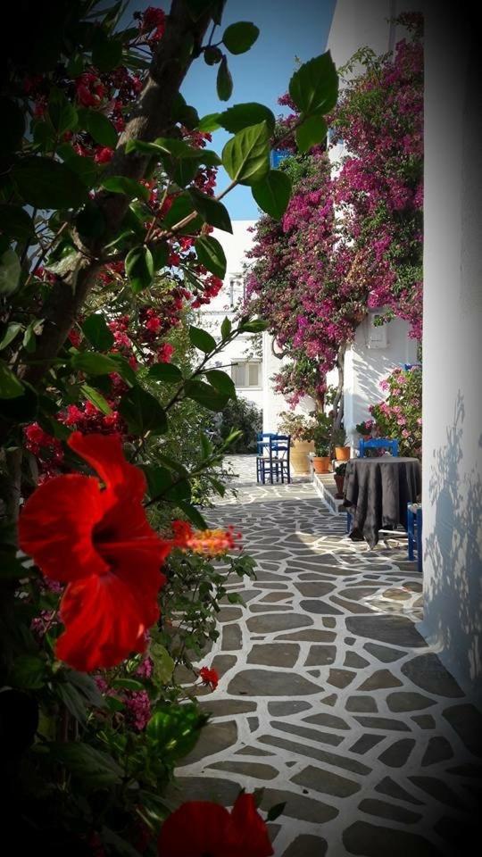 Hotel apartamentowy Pelagos 3*